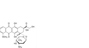 Epirubicin Hydrochloride