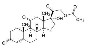 Hydrocortisone Acetate-4