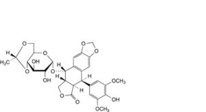 Etoposide 