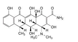 Doxycycline Monohydrate-4