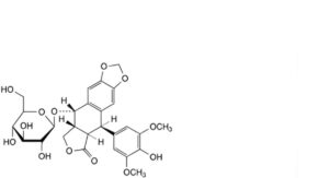 Etoposide 