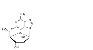 Fludarabine Phosphate-5