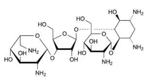Framycetin Sulfate-5