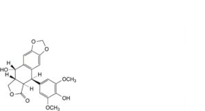 Etoposide 