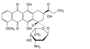 Daunorubicin Hydrochloride-6