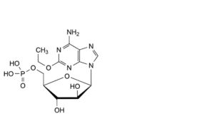 Fludarabine Phosphate-6