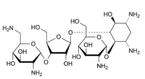 Framycetin Sulfate-6