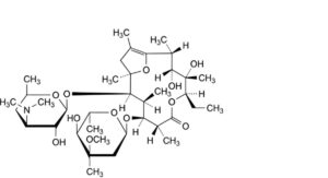 Erythromycin Ethyl Succinate 