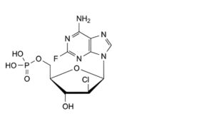 Fludarabine Phosphate-7