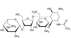 Framycetin Sulfate-7