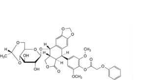 Etoposide 