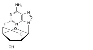 Fludarabine Phosphate-8