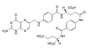 Folic Acid Hydrate-8