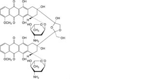Epirubicin Hydrochloride