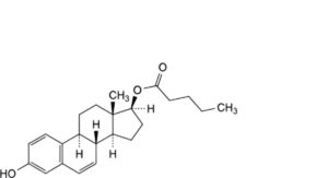 Estradiol Valerate 