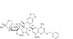 Etoposide 