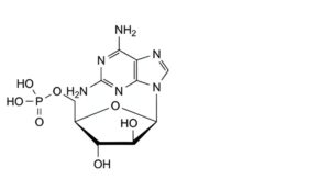 Fludarabine Phosphate-9