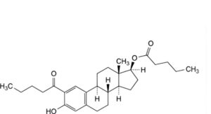 Estradiol Valerate 