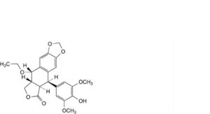 Etoposide 