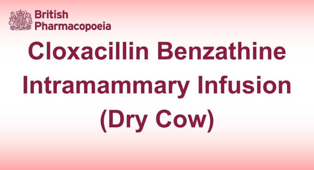 Cloxacillin Benzathine Intramammary Infusion (Dry Cow)