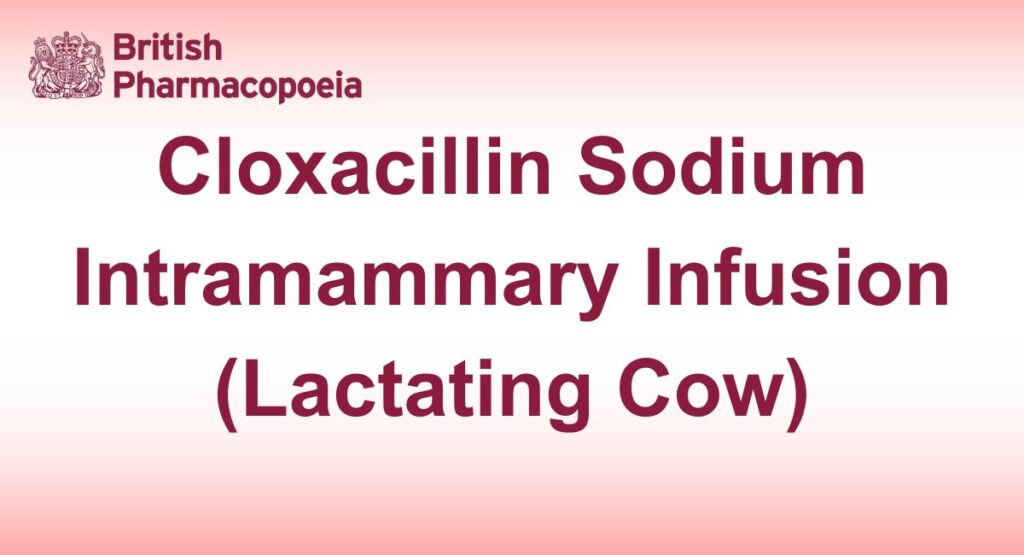 Cloxacillin Sodium Intramammary Infusion (Lactating Cow)