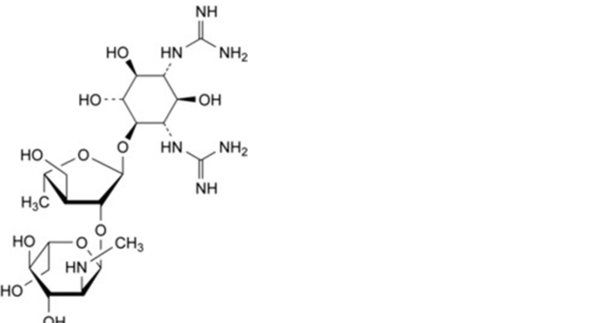 Dihydrostreptomycin Sulfate