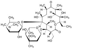 Erythromycin Lactobionate
