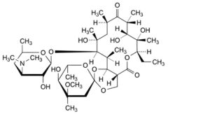 Erythromycin Lactobionate