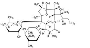Erythromycin Lactobionate
