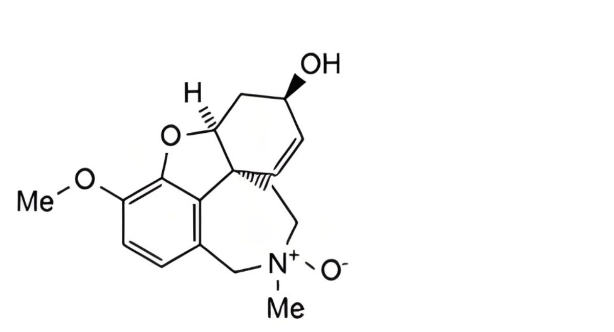 Galantamine Prolonged-release Capsules