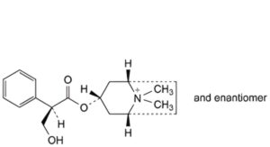 Homatropine Methylbromide