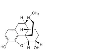 Hydromorphone Hydrochloride