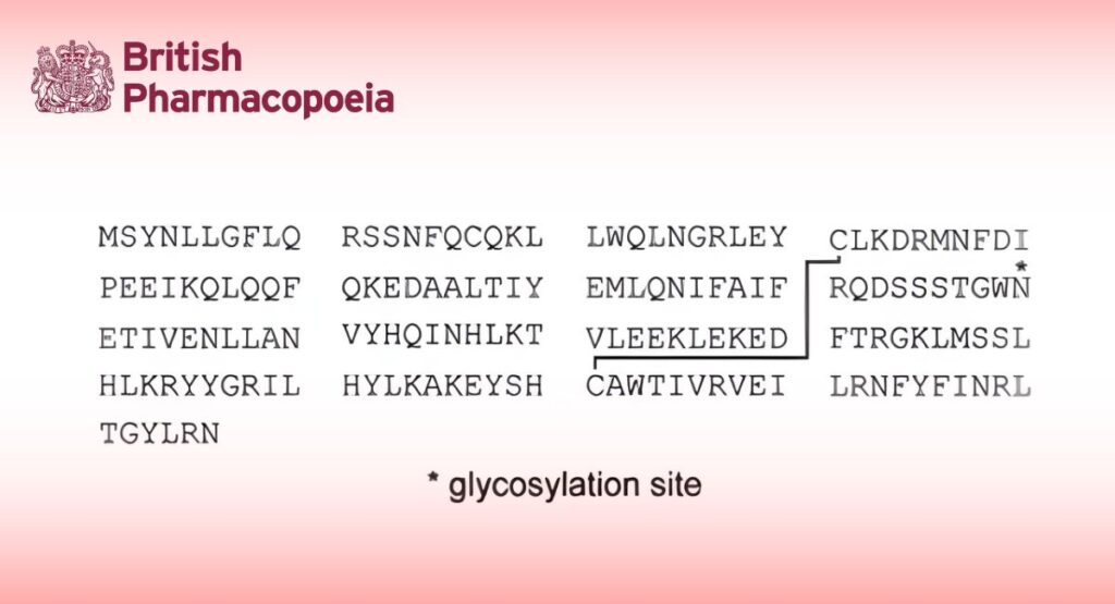 Interferon Beta-1a Concentrated Solution