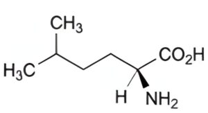 Leucine