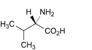 Leucine