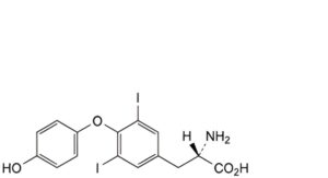 Levothyroxine Sodium