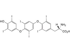Levothyroxine Sodium