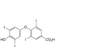 Levothyroxine Sodium