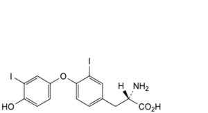 Levothyroxine Sodium