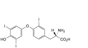 Levothyroxine Sodium