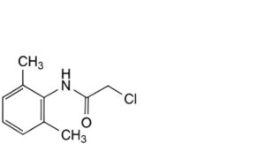 Lidocaine Hydrochloride Monohydrate