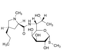 Lincomycin Hydrochloride