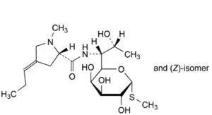 Lincomycin Hydrochloride
