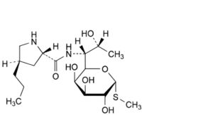 Lincomycin Hydrochloride