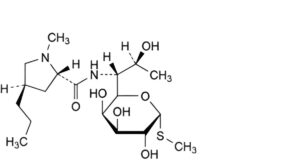 Lincomycin Hydrochloride
