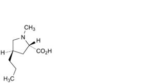 Lincomycin Hydrochloride