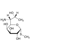Lincomycin Hydrochloride