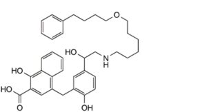 Salmeterol Inhalation Powder