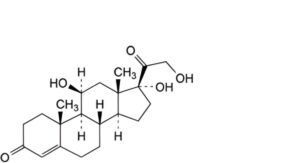 Prednisolone 
