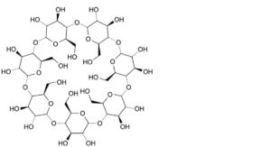 Sulfobutylbetadex Sodium